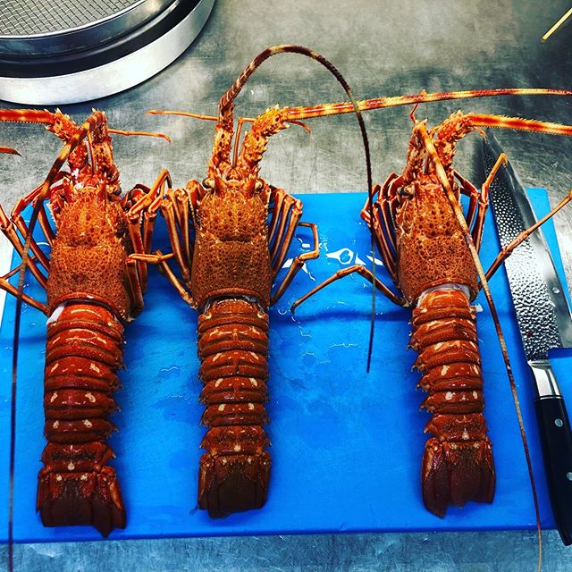 Dejavu!?.... #lobster #seafood #food #foodporn #lobsterairtawar #crab #foodie #fish #instafood #budidayalobster #udang #shrimp #juallobster #bibitlobster #redclaw #seafoodlover #dinner #fresh #kepiting #chef #ocean #fishing #lunch #lobstermania #lobstertail #cryfish #foodstagram #yummy #crayfish #ristoranteida