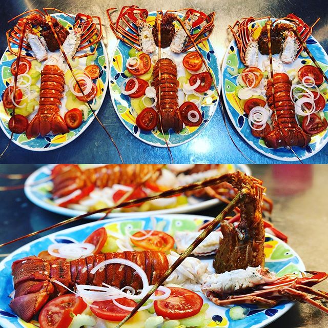 La nostra catalana ????#ristoranteida #lobster #seafood #food #foodporn #lobsterairtawar #crab #foodie #fish #instafood #budidayalobster #udang #shrimp #juallobster #bibitlobster #redclaw #seafoodlover #dinner #fresh #kepiting #chef #ocean #fishing #lunch #lobstermania #lobstertail #cryfish #foodstagram #yummy #crayfish