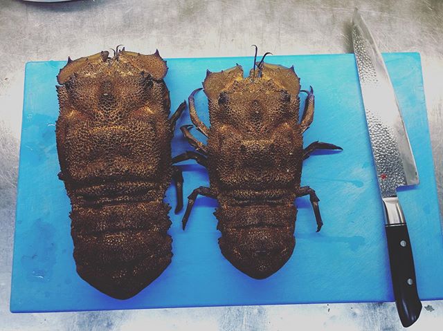 Stessa storia, stesso posto, stesso bar ...???? #ristoranteida #lobster #seafood #food #foodporn #lobsterairtawar #crab #foodie #fish #instafood #budidayalobster #udang #shrimp #juallobster #bibitlobster #redclaw #seafoodlover #dinner #fresh #kepiting #chef #ocean #fishing #lunch #lobstermania #lobstertail #cryfish #foodstagram #yummy #crayfish