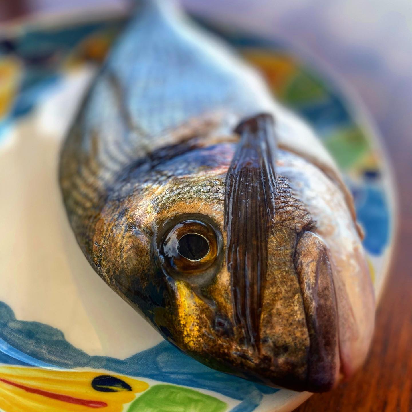 È quasi ora(ta) di cena ?•••#oratadimare #fish #ristoranteida #marontibeach #semprecosebelle